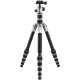 Алюмінієвий штатив Benro (KIT) FTR09AB00GTTN